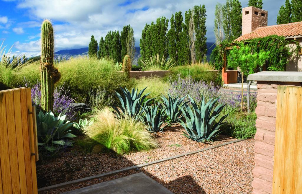 Adobe Charm Villa Cafayate Exterior photo